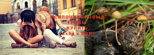 прущие крисы Алексин