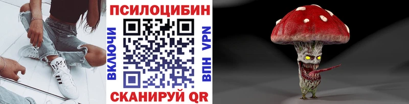 дарнет шоп  Холм  Псилоцибиновые грибы Psilocybe 